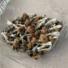 mushroom