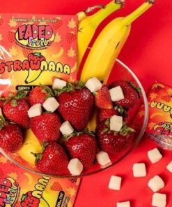 Faded Fruits Box - 25 Packs